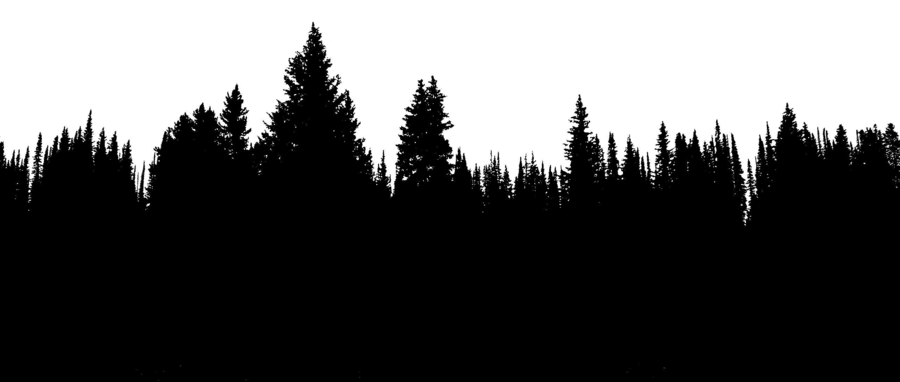 900x382 Coloring Book Tree Line, Tree Silhouette