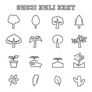 300x300 Treeline Silhouette Vector Tree Line Vector The Best And Pine