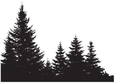366x264 Line Tree Landscape Vector Pictures And Ideas On Pro Landscape