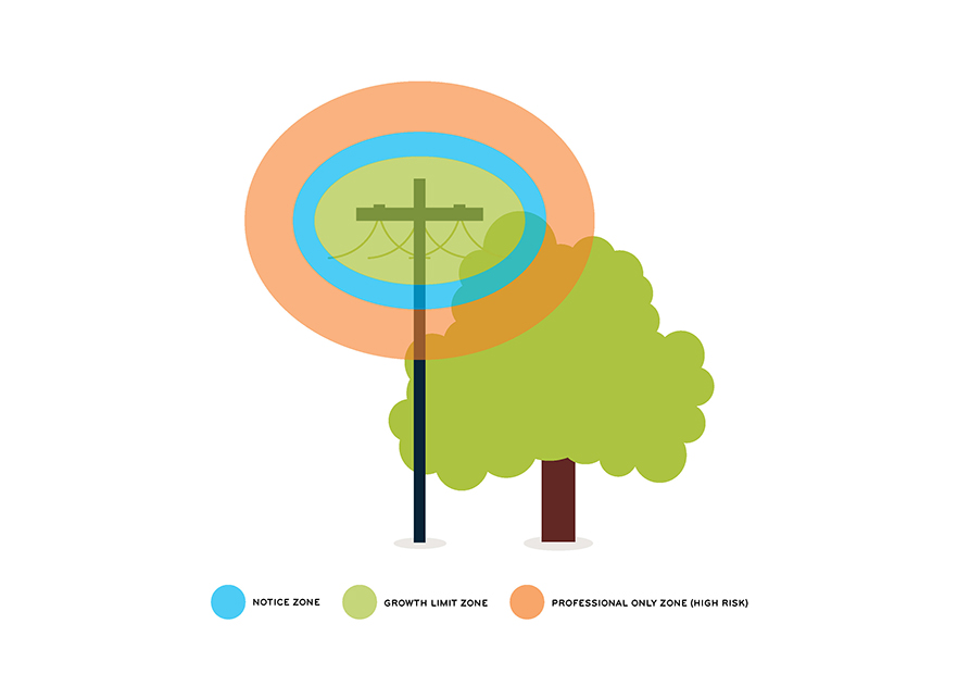 893x631 What You Need To Know Vector Limited