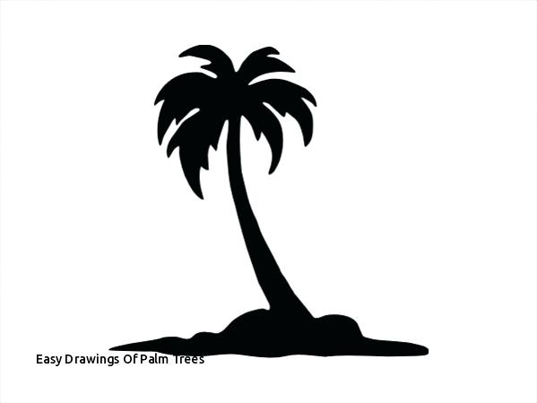 599x449 Drawing A Palm Tree Springspringbodywork Club