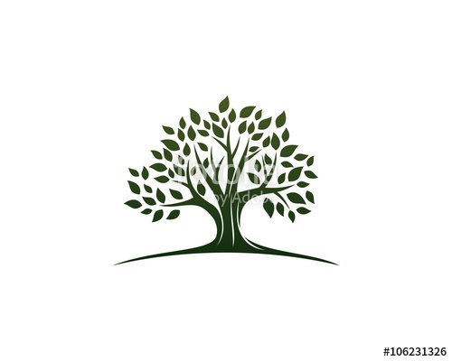 500x400 Green Oak Tree Logo Stock Image And Royalty Free Vector