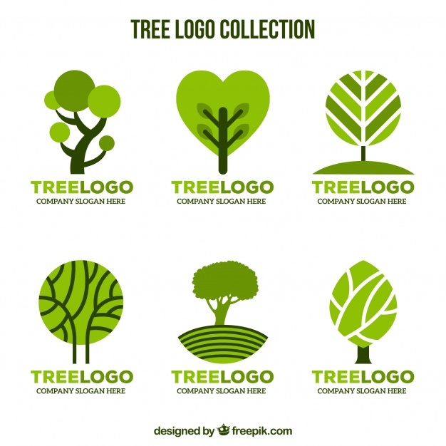 626x626 Tree Logo Vectors, Photos And Free Download