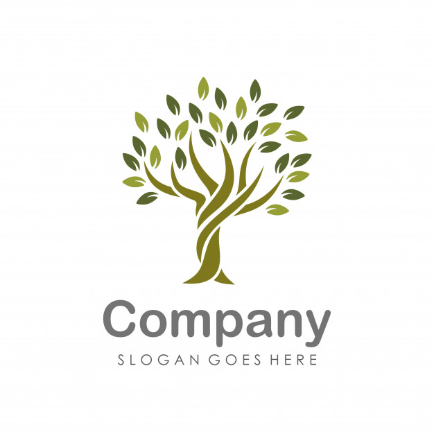 626x626 Creative And Unique Tree Logo Design Template Vector Premium