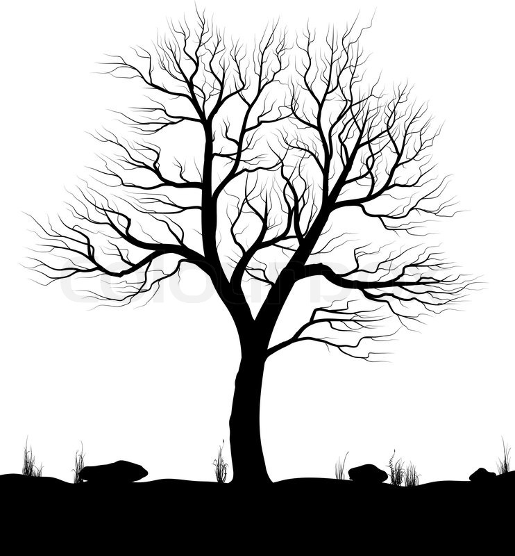 742x800 Landscape With Old Tree And Grass Over Stock Vector Colourbox