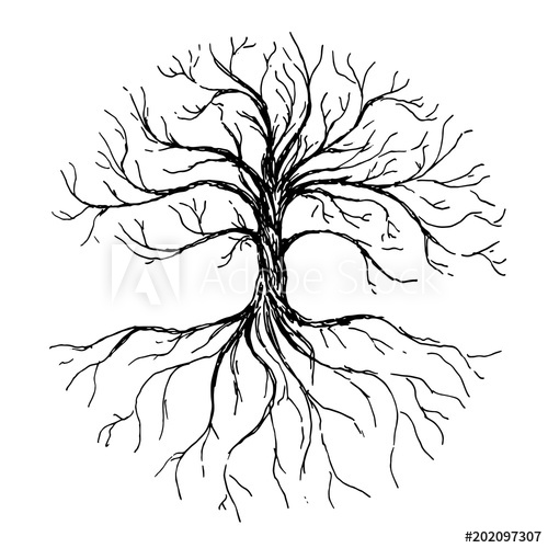 500x500 Tree Of Life