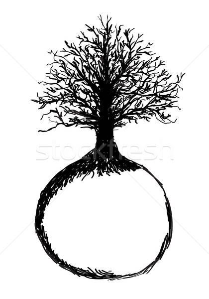 420x600 Tree Of Life Vector Illustration Lana Novko