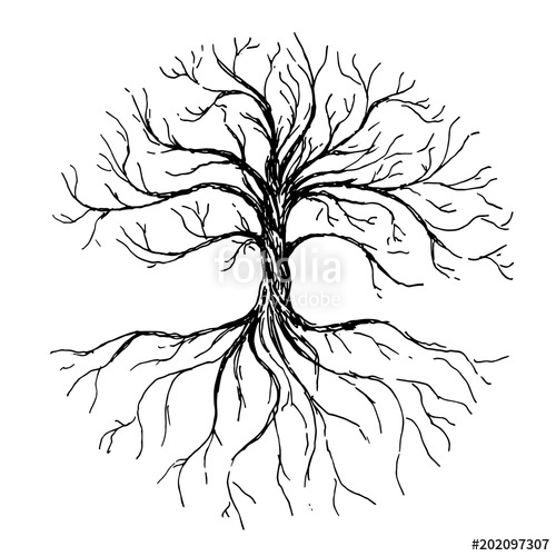 500x500 Tree Of Life