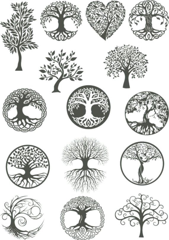 570x811 Vector Ornament, Decorative Celtic Tree Of Life Vector,tree