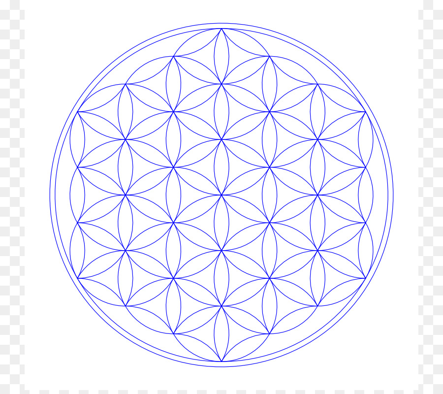 900x800 Download Overlapping Circles Grid Sacred Geometry Tree Of L Tree