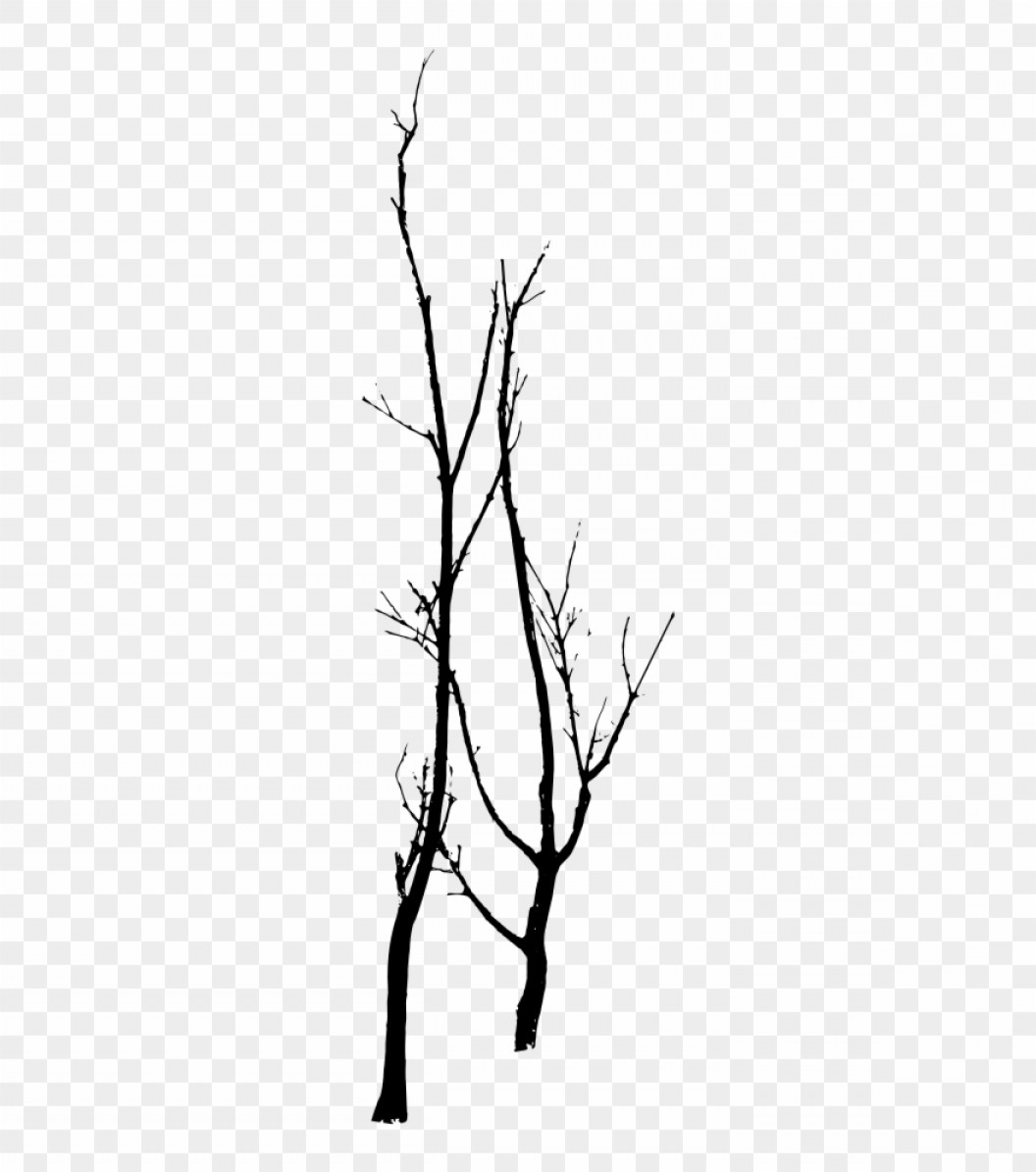 Ijxwxbclip Art Free Stock Architecture Vector Tree Outline Soidergi 1056x1195 Ijxwxbclip Art Free Stock Architecture Vector Tree Outline Soidergi