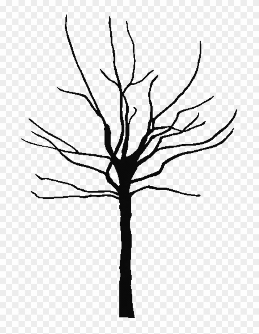 Olive Tree Outline Curl Silhouette Icon Stock Vector 840x1083 Olive Tree Outline Curl Silhouette Icon Stock Vector