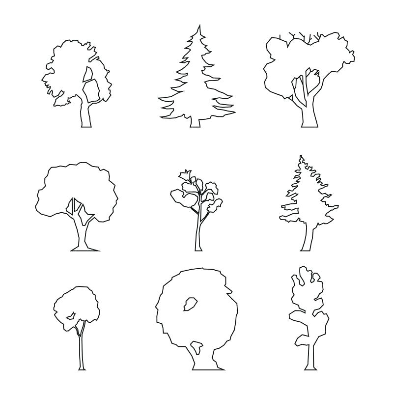 Tree Outline Vector at Vectorified.com | Collection of Tree Outline