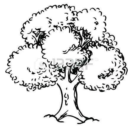 Tree Outline Image Vector Illustration Of A Deciduous Tree 450x432 Tree Outline Image Vector Illustration Of A Deciduous Tree