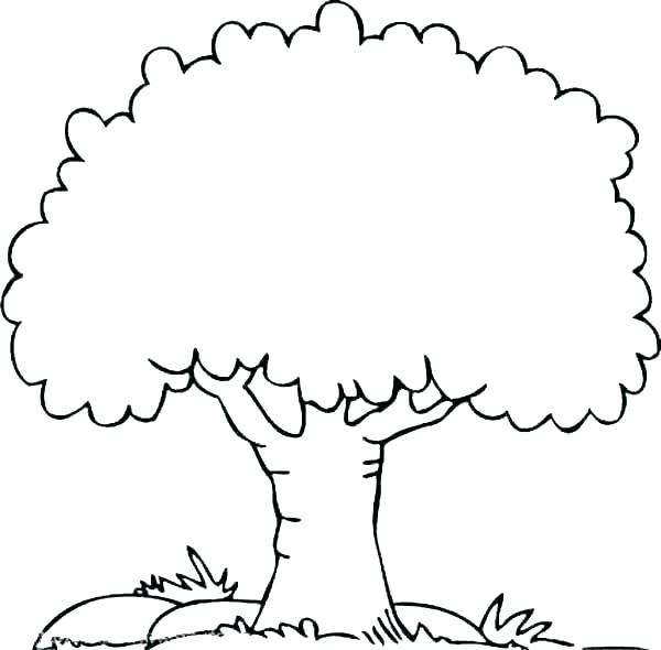 Tree Outline Vector at Vectorified.com | Collection of Tree Outline ...