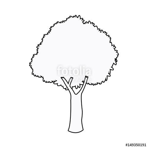 Oak Tree Plant Nature Garden Outline Vector Illustration Stock 500x500 Oak Tree Plant Nature Garden Outline Vector Illustration Stock