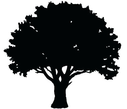 Outline Of Trees 406x348 Outline Of Trees