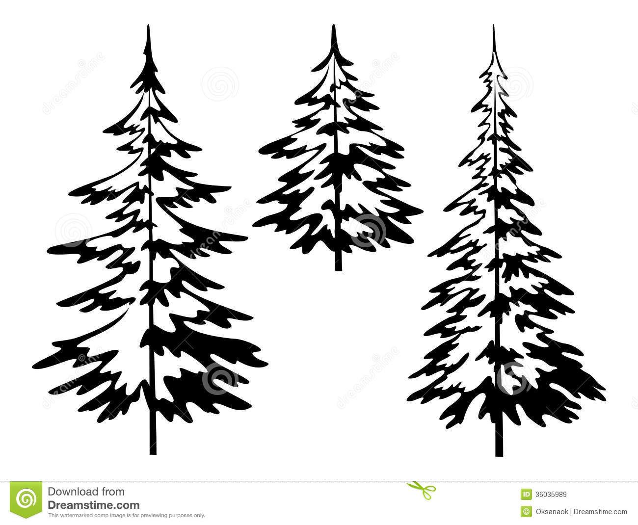 Black And White Pine Tree Outline Sketch Coloring 1300x1070 Black And White Pine Tree Outline Sketch Coloring