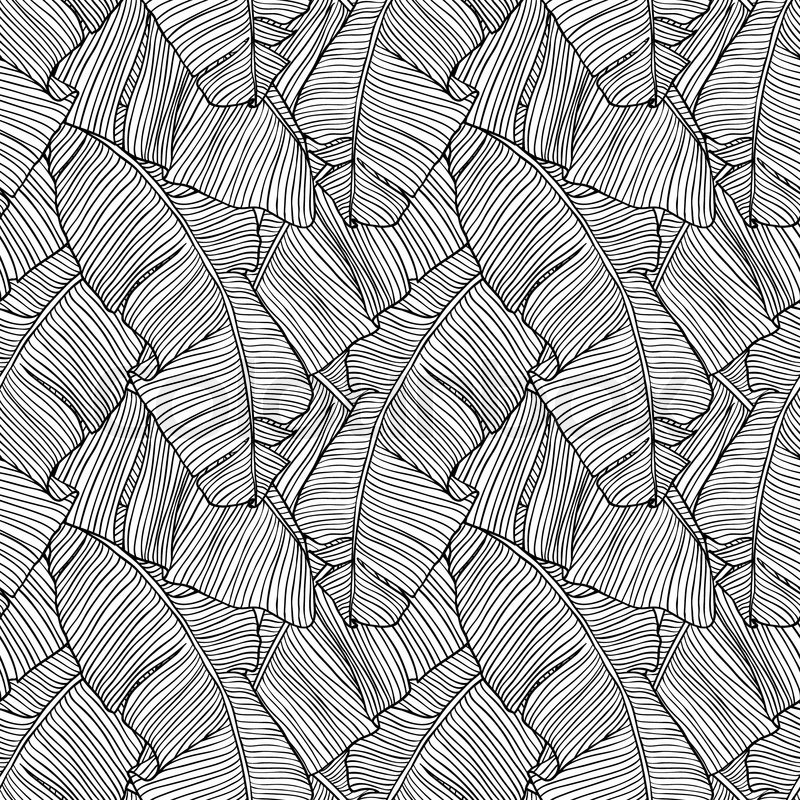 Vector Illustration Leaves Of Palm Stock Vector Colourbox 800x800 Vector Illustration Leaves Of Palm Stock Vector Colourbox