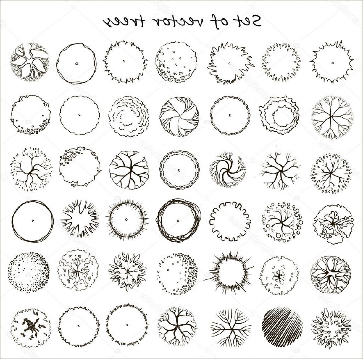 1227x1214 Stock Illustration Set Of Graphic Trees Top Soidergi