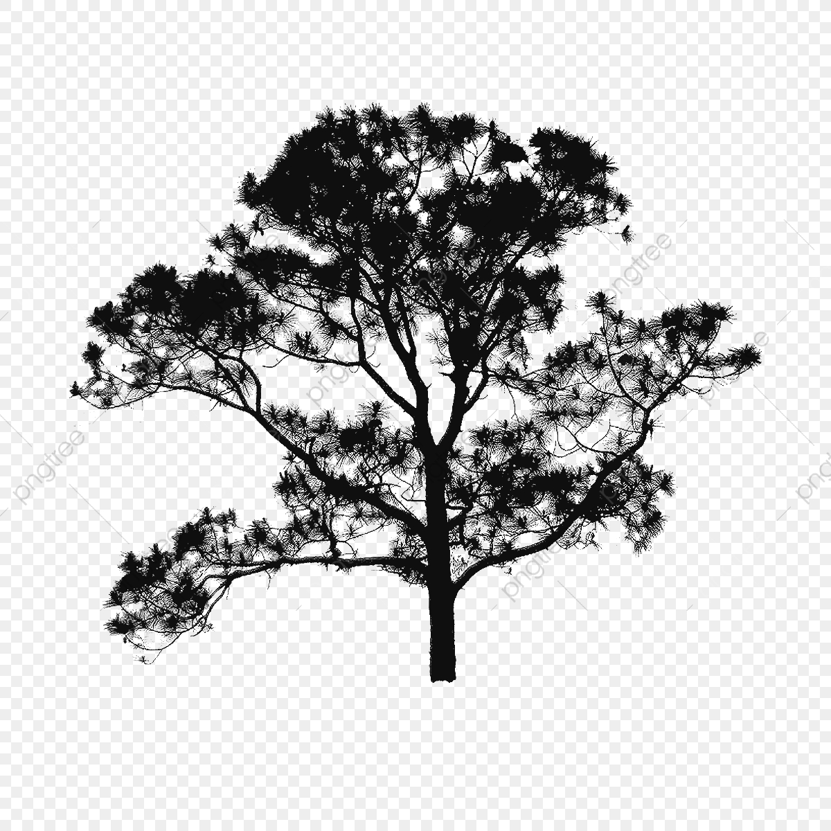 1200x1200 Tree Plan Clipart Free Vector, Tree Vector Clipart, Tree Clipart