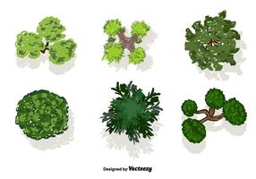 286x200 Tree Plan Free Vector Art