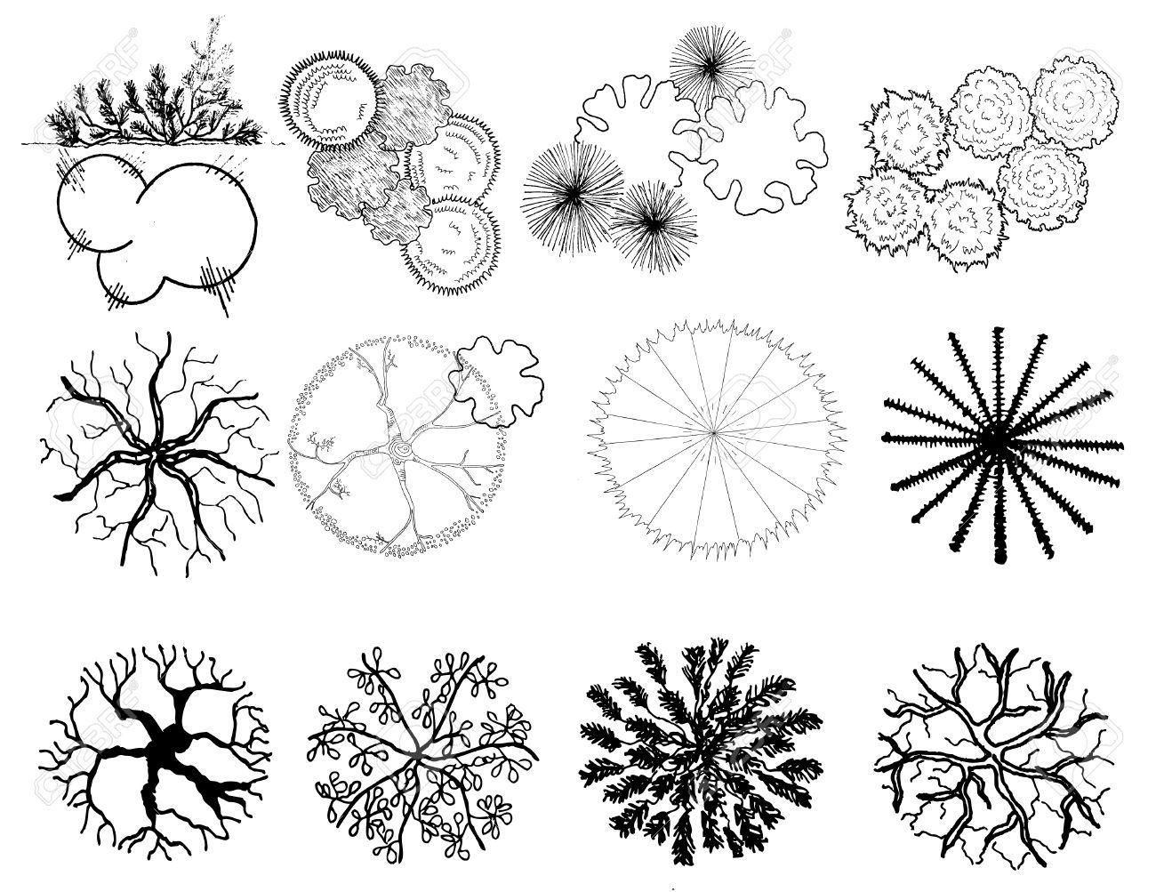 Tree Plan Vector
 Tree Plan Vector at Vectorified