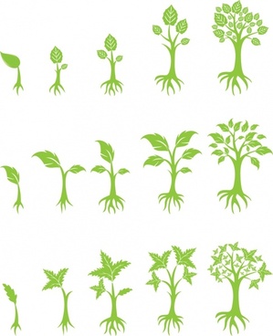 299x368 Plan Tree Free Vector Download