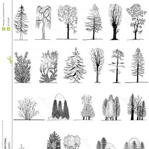 300x300 Png Branch Top Tree Download Tree Tree Lush Tree Top Soidergi