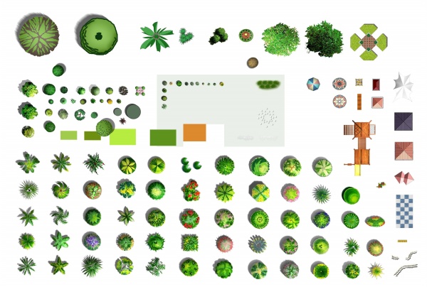 600x404 Plane Tree Materials Over Millions Vectors, Stock Photos, Hd