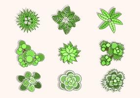 286x200 Tree Top View Free Vector Art