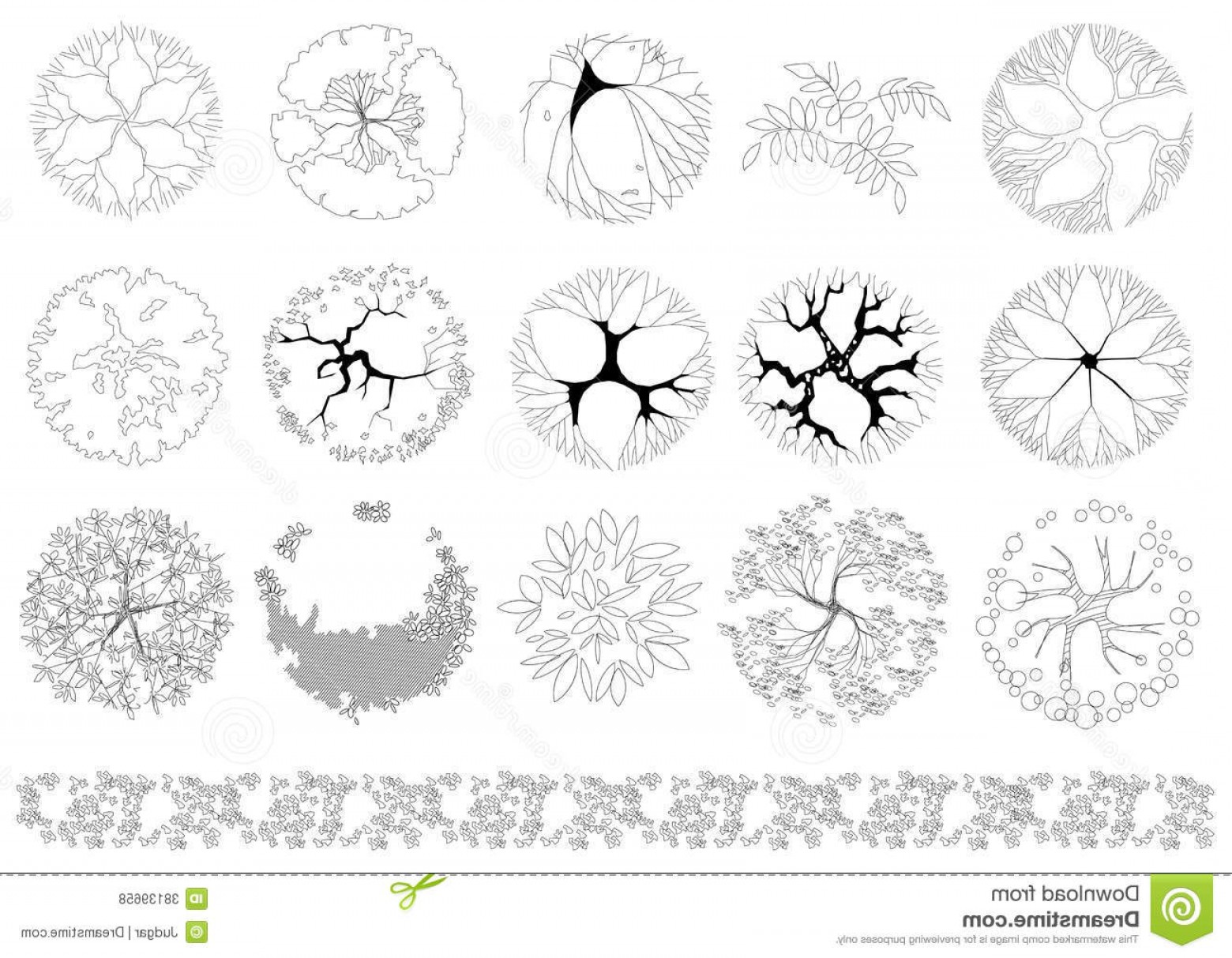 Drawings Of Trees In Plan View Vector Cultracing 1560x1213 Drawings Of Trees In Plan View Vector Cultracing
