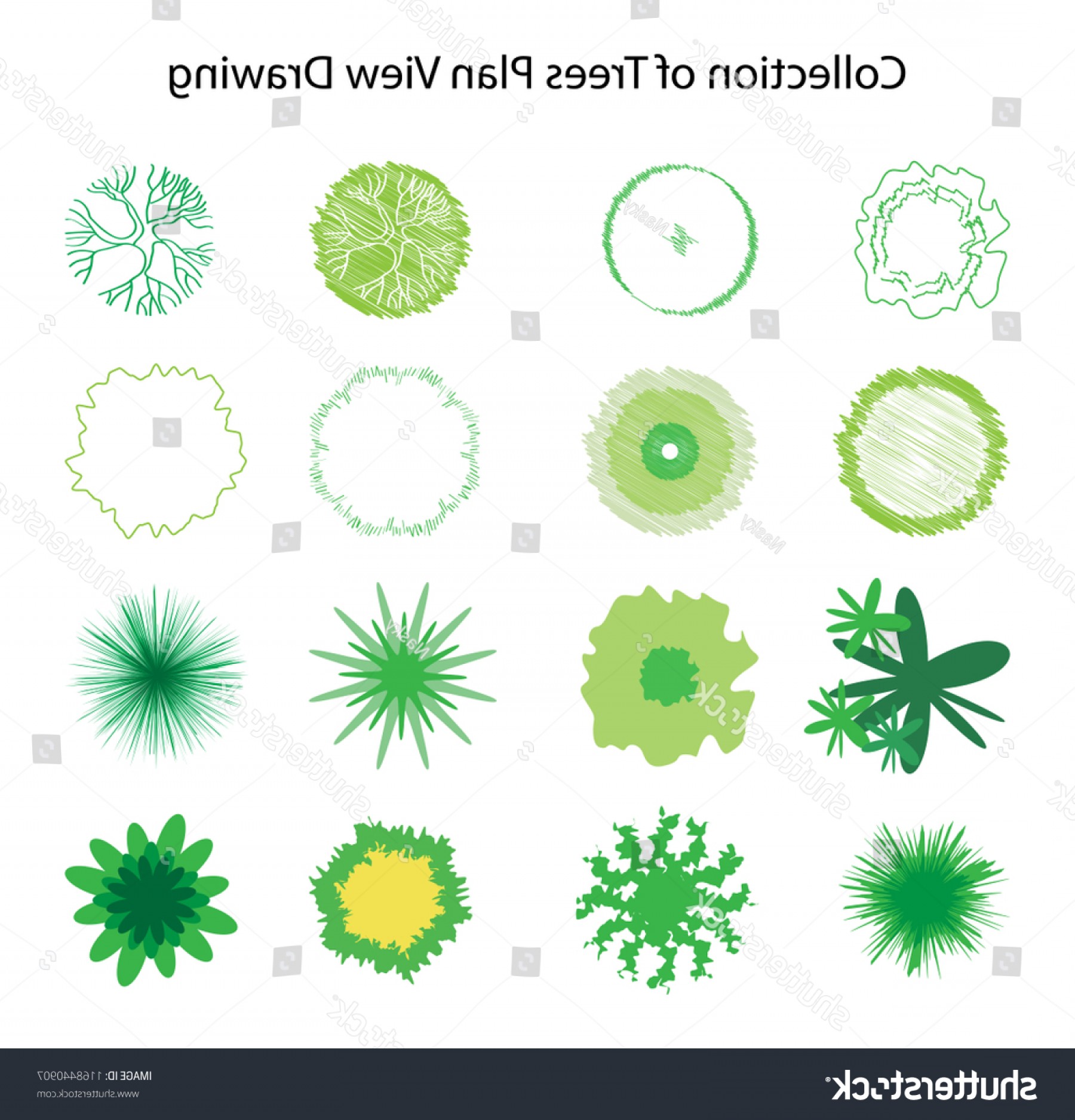  Tree  Plan  View Vector  at Vectorified com Collection of 