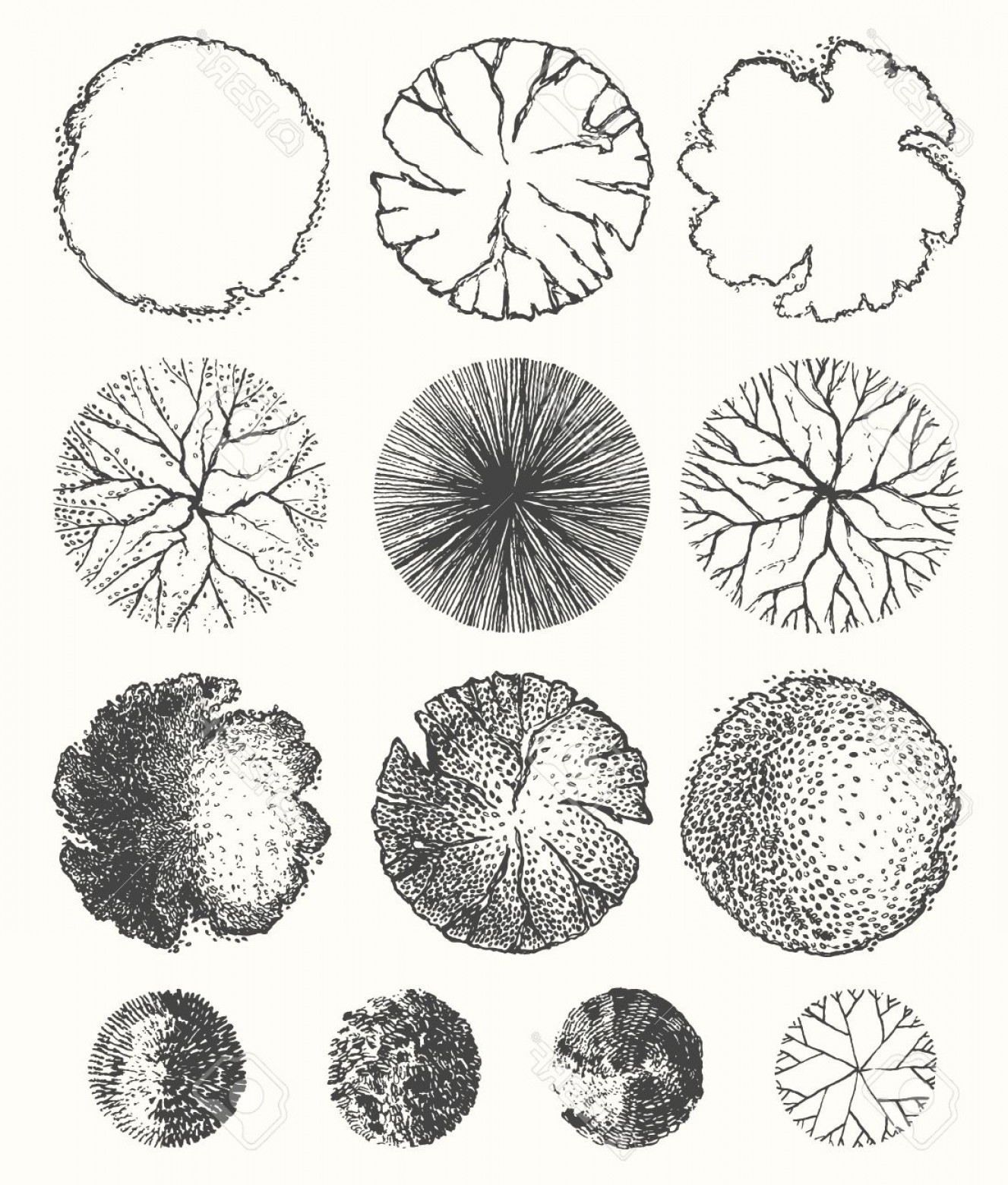 Tree Plan View Vector at Vectorified.com | Collection of Tree Plan View ...