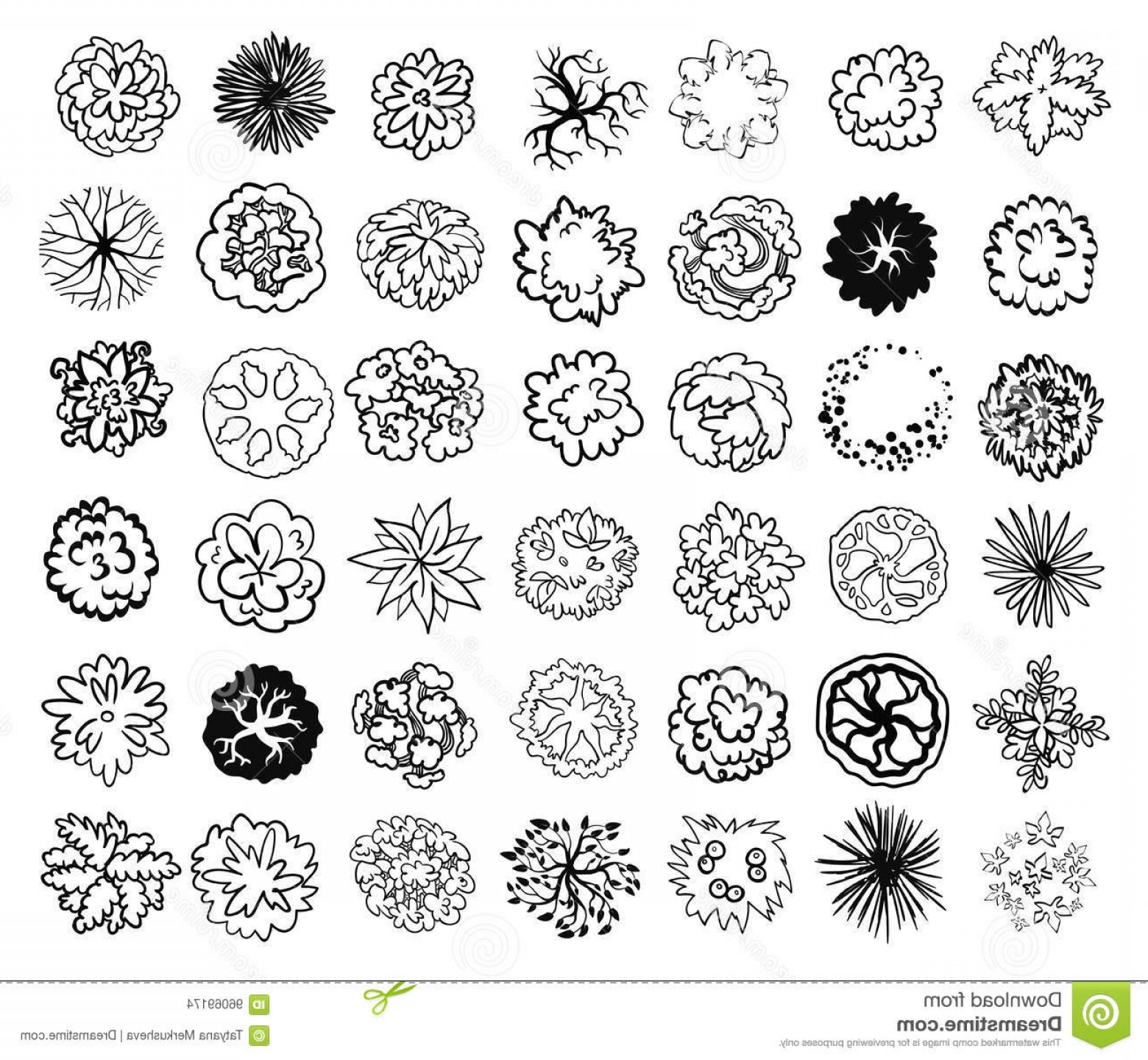 1560x1440 Stock Illustration Trees Bushes Shrubs Top View Landscape Design
