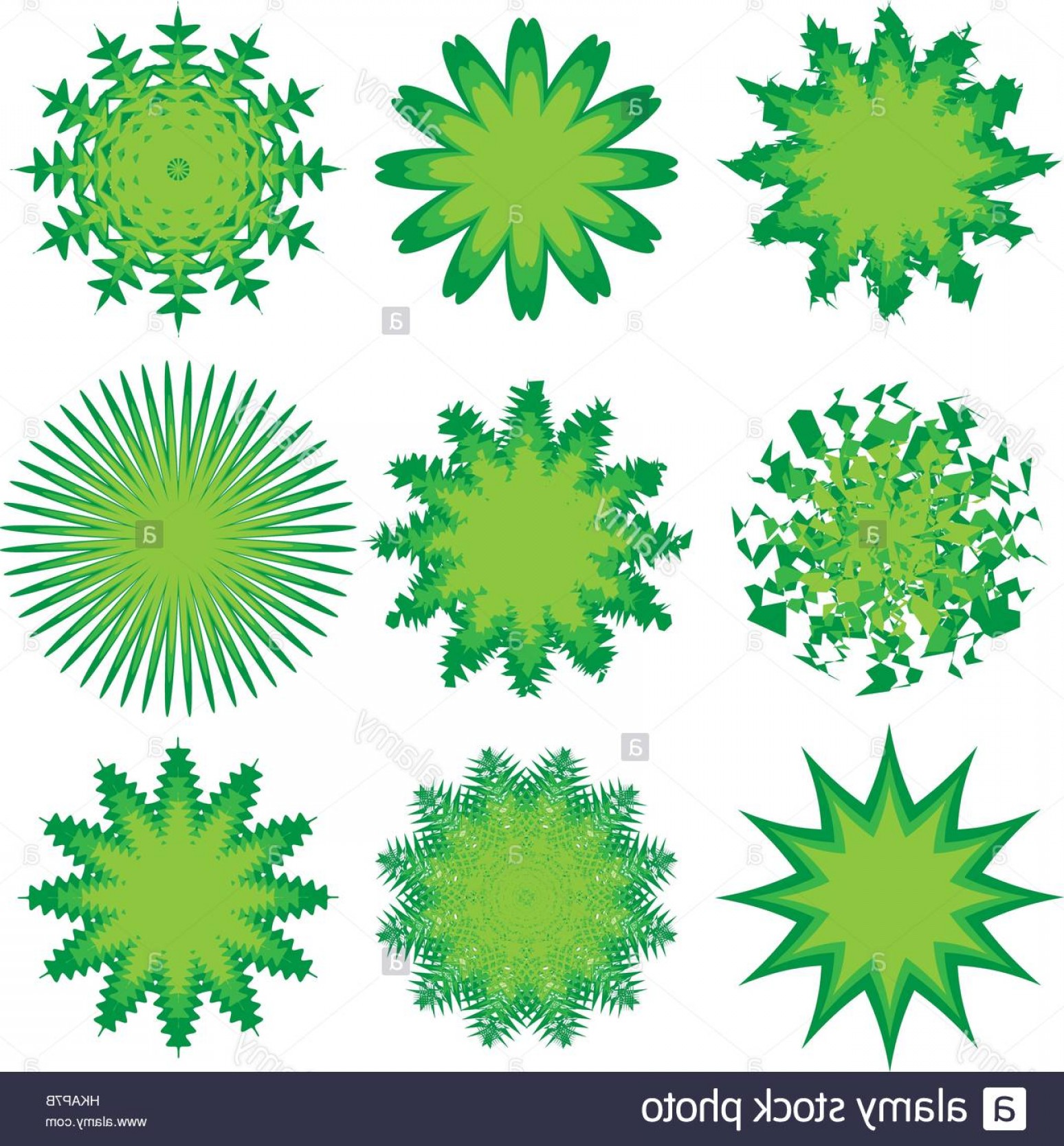 Stock Photo Different Trees Top View For Landscape Plan Design 1548x1668 Stock Photo Different Trees Top View For Landscape Plan Design