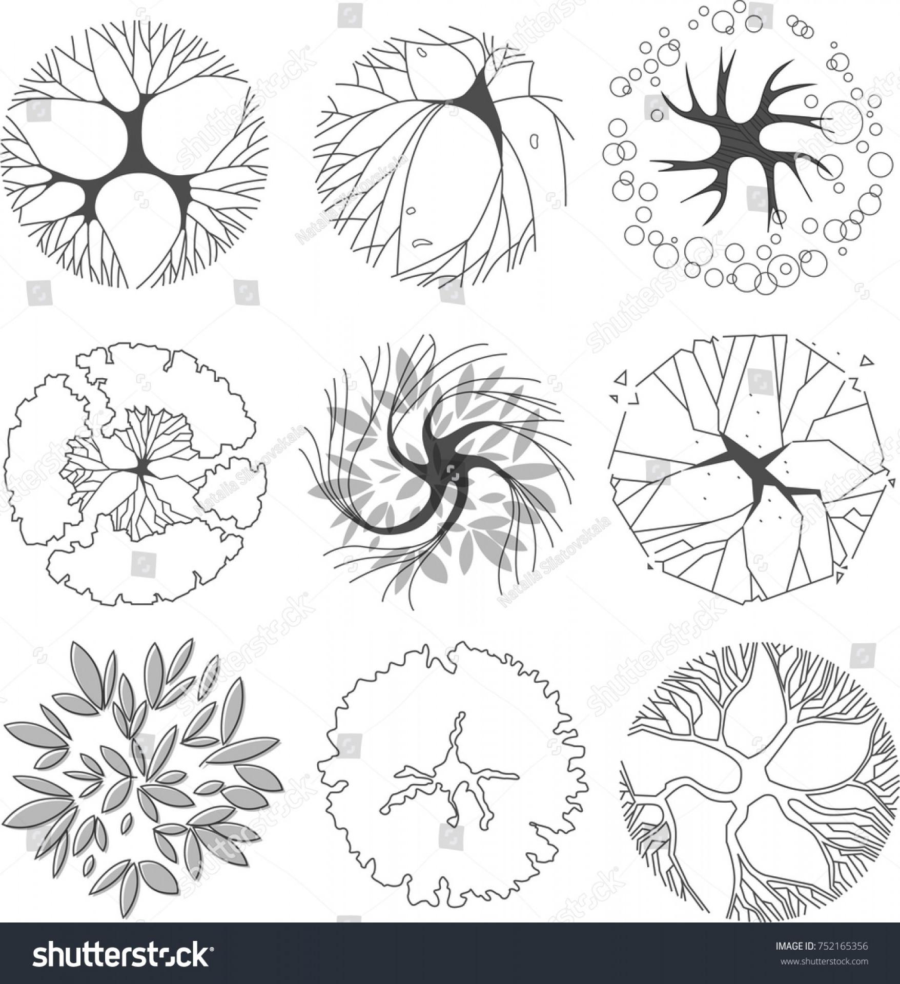 Top Tree Symbols Plan View Vector Photos Vector Images Design 1756x1920 Top Tree Symbols Plan View Vector Photos Vector Images Design