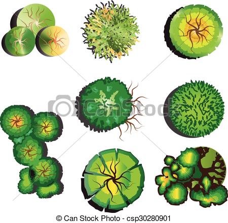 Tree Top View Set Plants Top View, Plants Layout Plan, Tree 450x441 Tree Top View Set Plants Top View, Plants Layout Plan, Tree