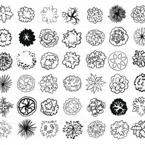 Tree Plan View Vector at Vectorified.com | Collection of Tree Plan View ...