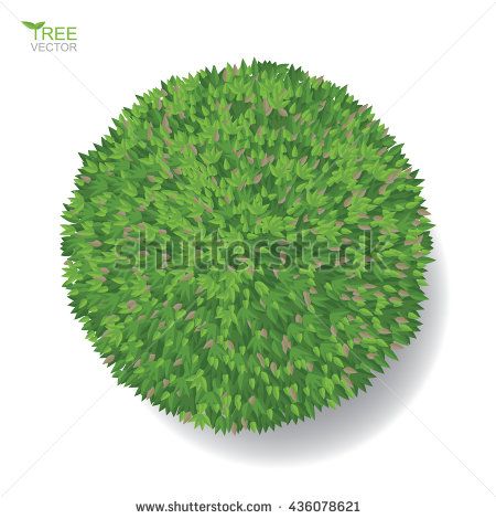 Vector Tree Plan Or Tree Top View For Landscape Design Project 450x470 Vector Tree Plan Or Tree Top View For Landscape Design Project