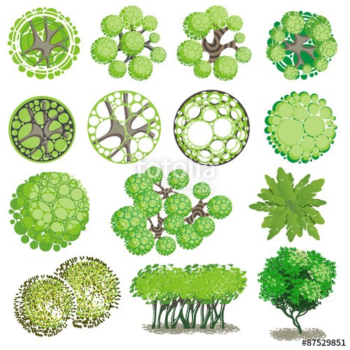 Landscape Trees Plan Vector Pictures And Ideas On Pro Landscape 500x500 Landscape Trees Plan Vector Pictures And Ideas On Pro Landscape