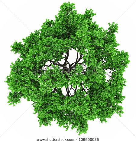Vector Trees Plan View Images 450x470 Vector Trees Plan View Images