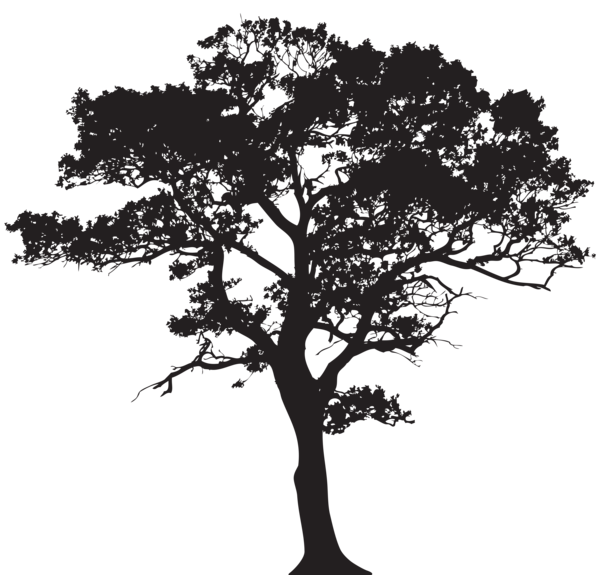 600x575 Trees Silhouette Clip Art, Tree Silhouette