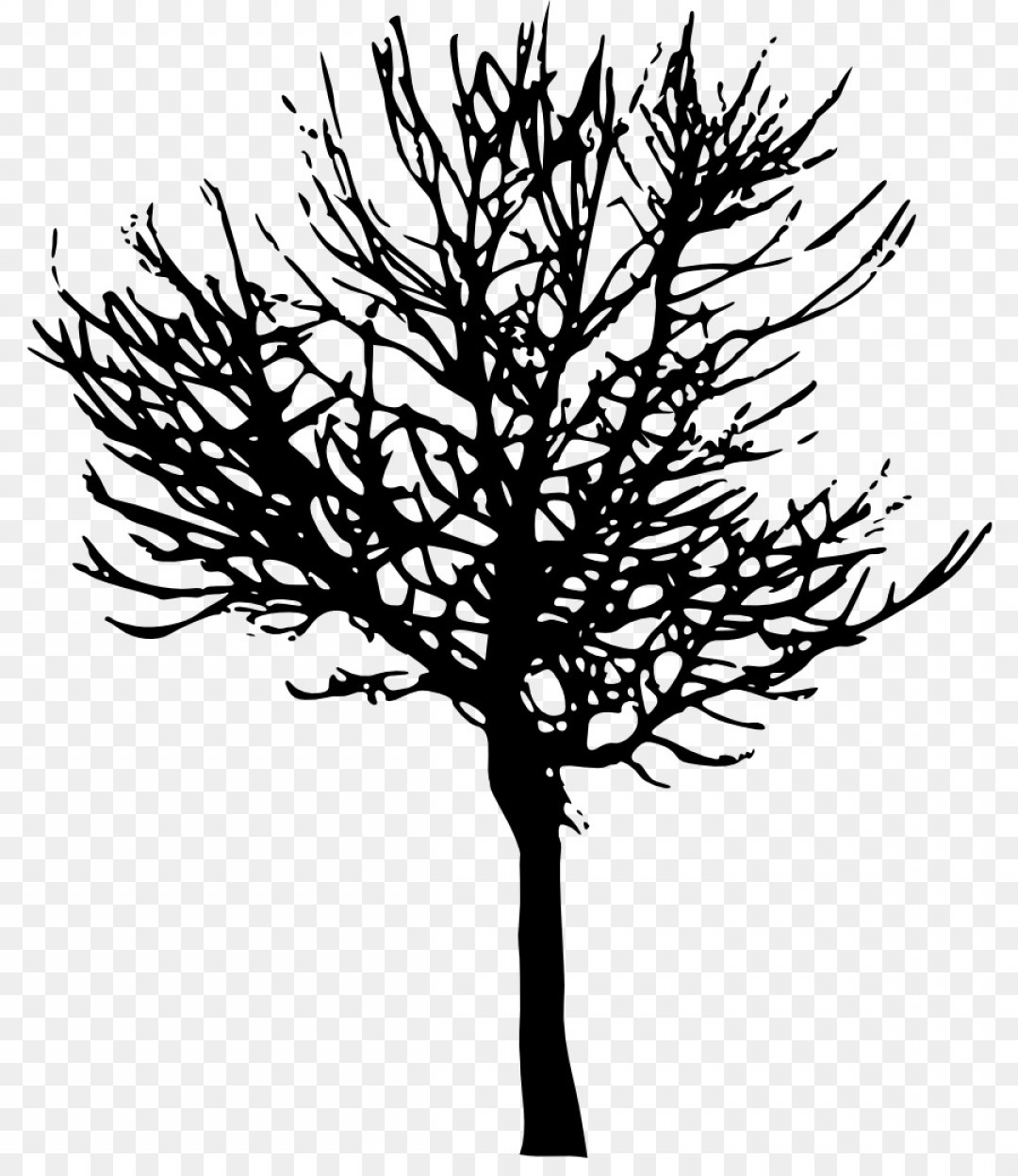 1080x1248 Png Tree Branch Desktop Wallpaper Clip Art Tree Vector Soidergi