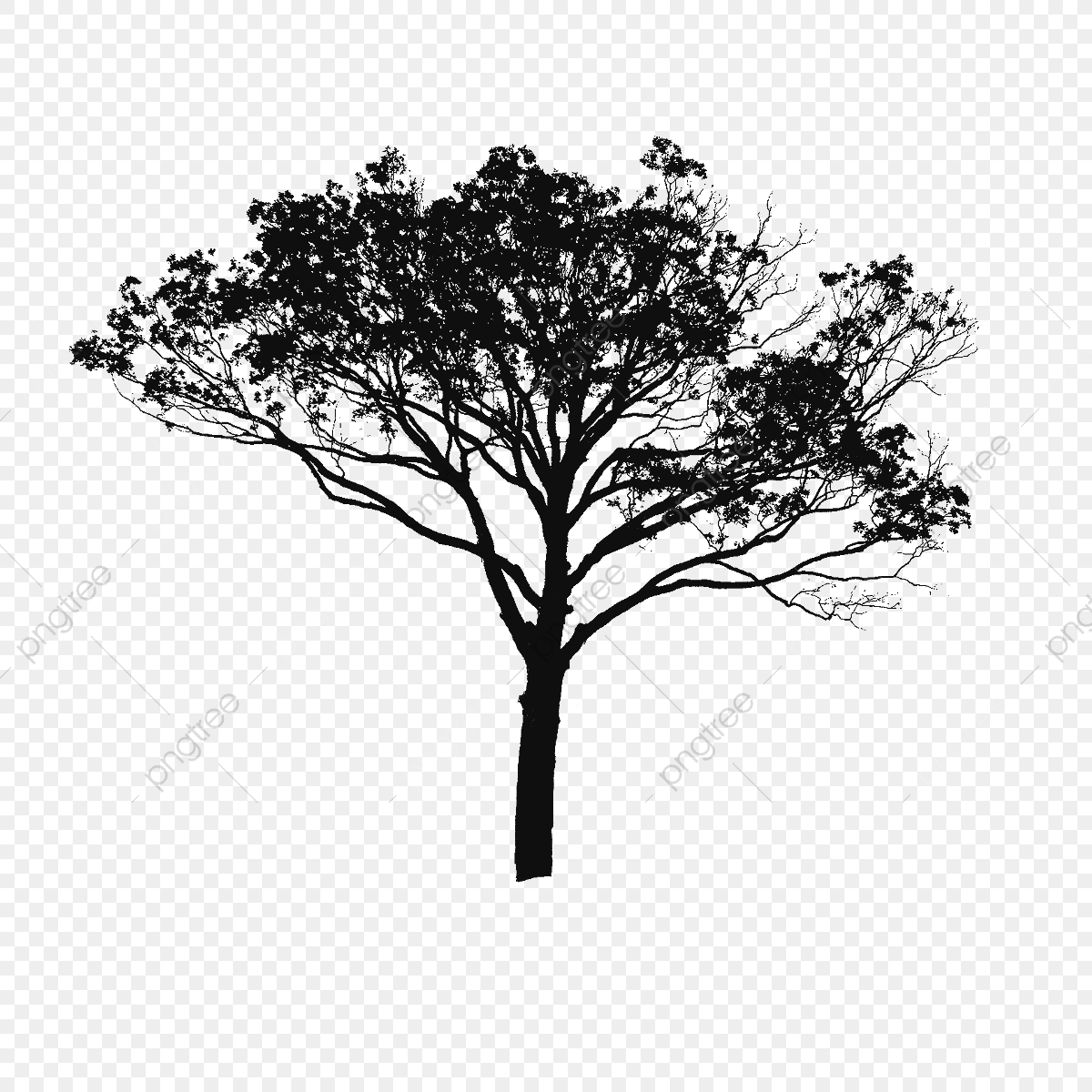 1200x1200 Tree Vector Black And White, Tree Vector Clipart, Tree Clipart