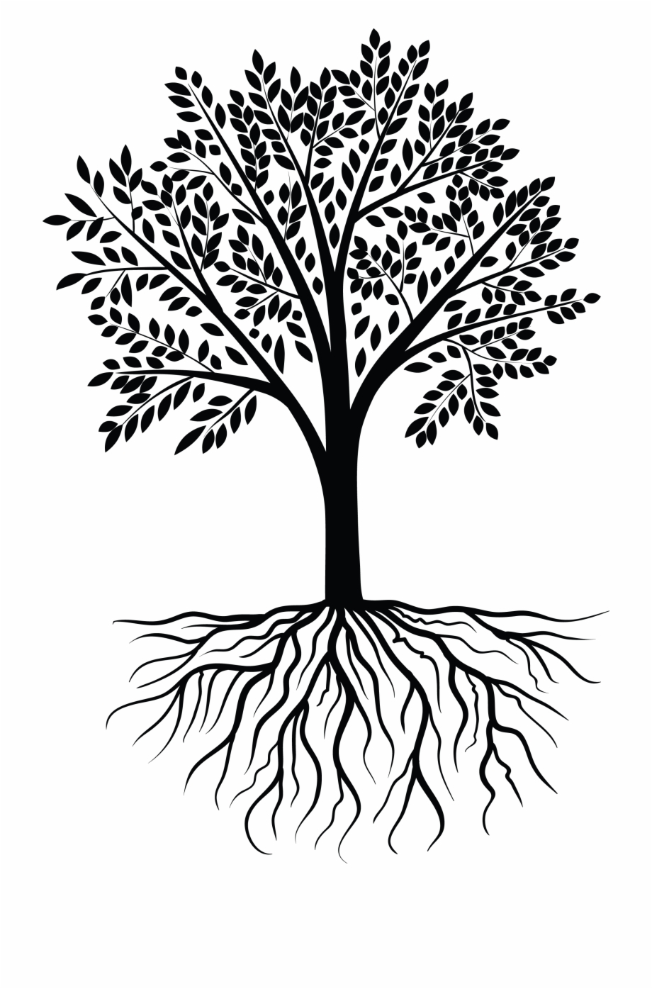 920x1395 Tree Vector Png