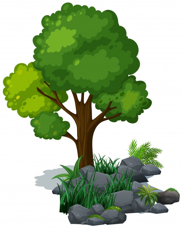 626x784 Tree Vectors, Photos And Free Download