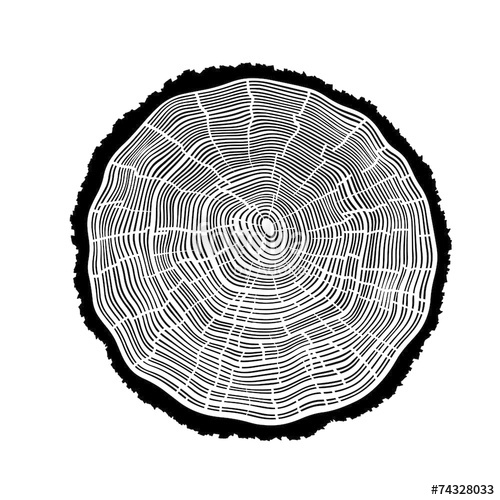 Rings Of A Tree With Cracks Stock Image And Royalty Free Vector 500x500 Rings Of A Tree With Cracks Stock Image And Royalty Free Vector