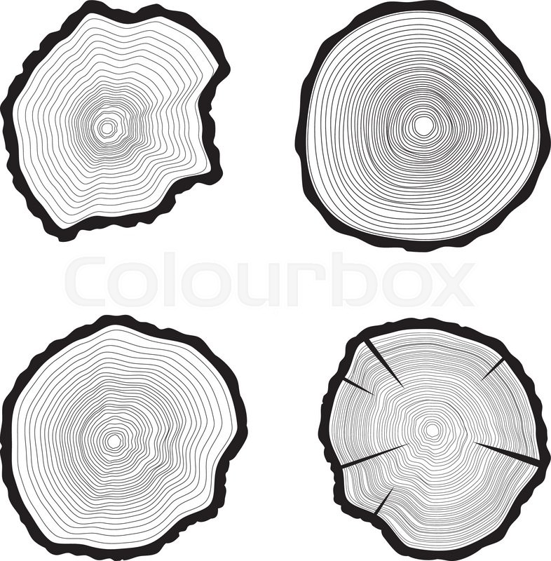 Set Tree Rings Background Annual Stock Vector Colourbox 786x800 Set Tree Rings Background Annual Stock Vector Colourbox