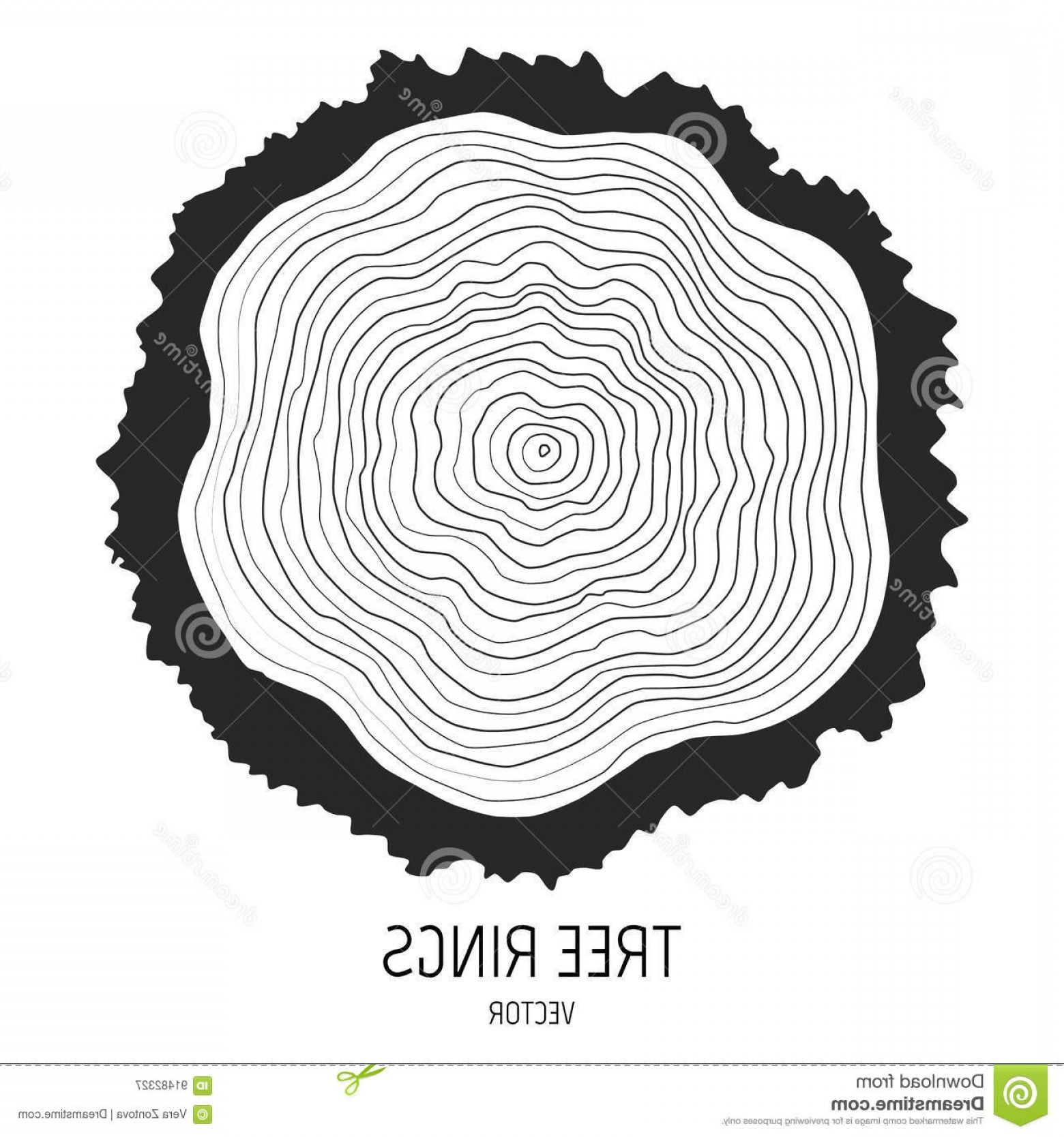 Stock Illustration Annual Tree Rings Vector Cut Log Firewood Cross 1560x1668 Stock Illustration Annual Tree Rings Vector Cut Log Firewood Cross